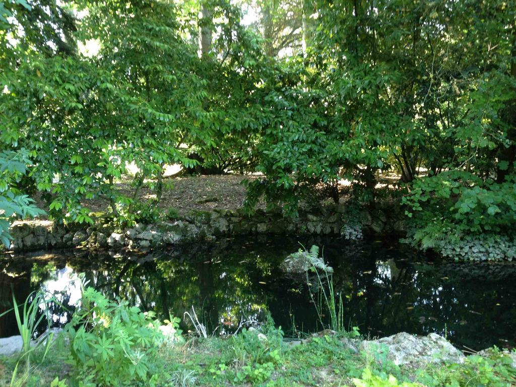 Mer Chambre D'Hotes Les Rives De La Tronne المظهر الخارجي الصورة